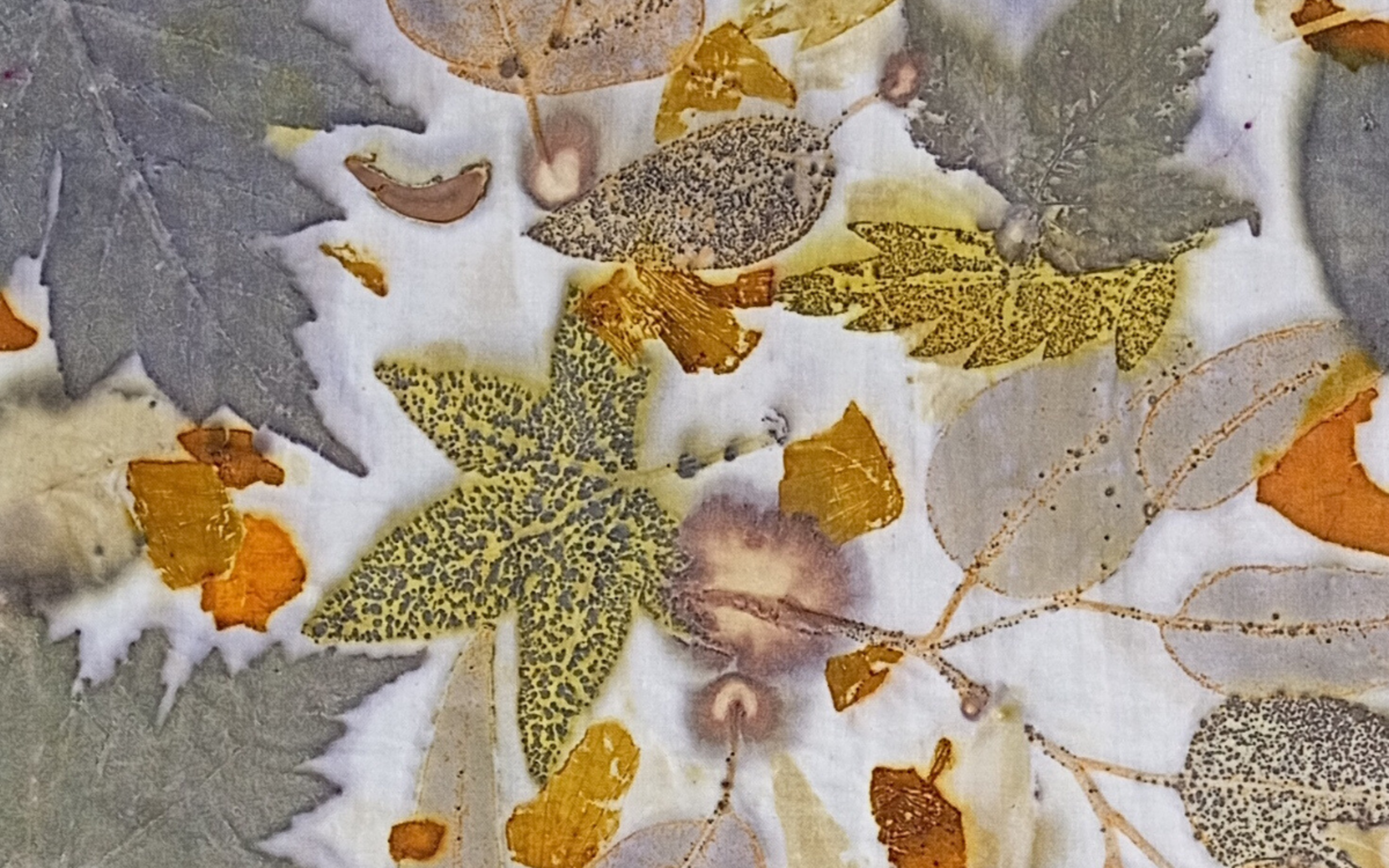 Arte Natural para un Estilo Consciente